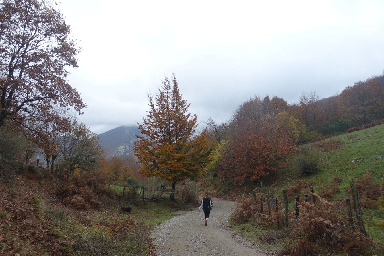 Fotos: Larrazpil, señor de la niebla de Aralar