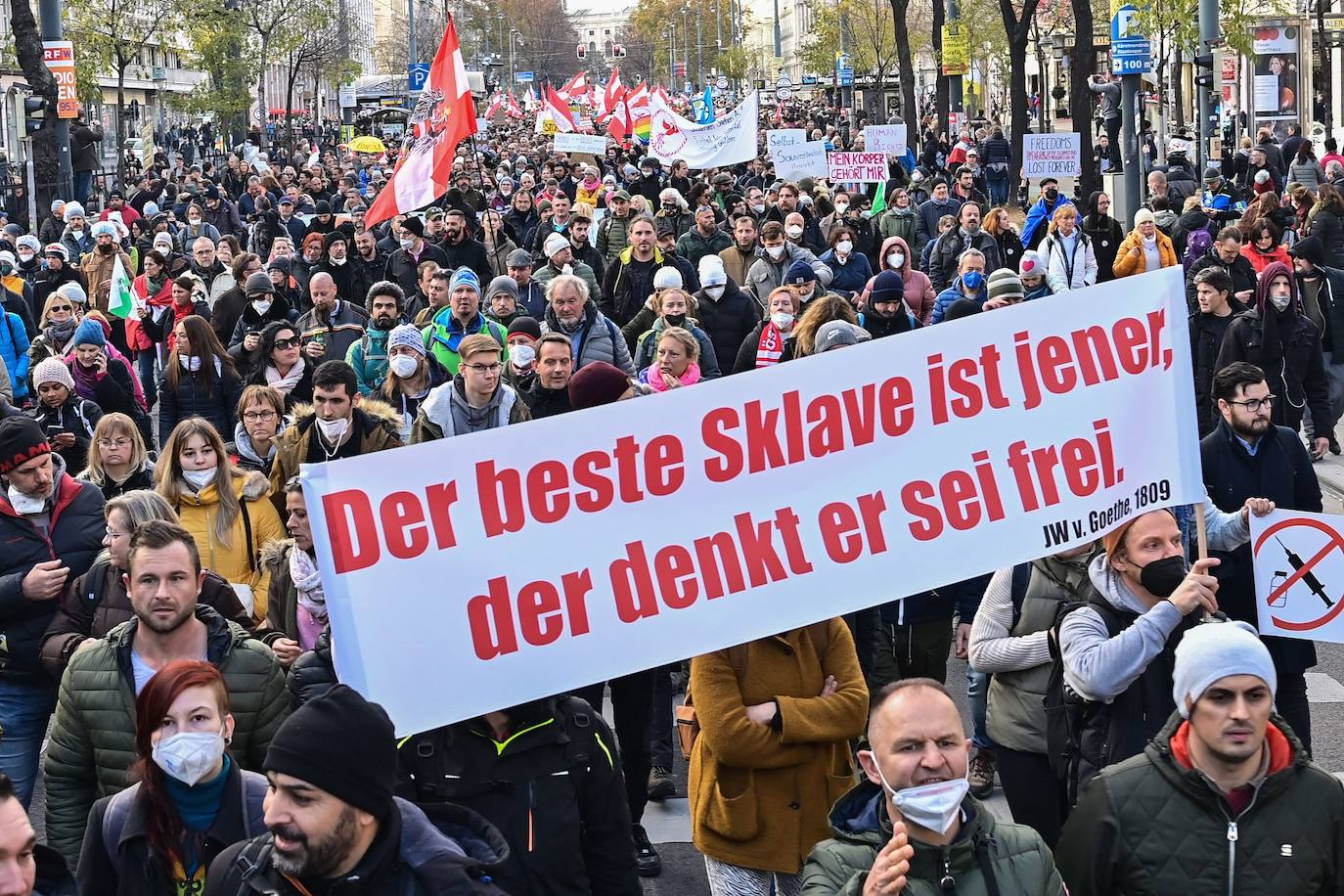 Fotos: Miles de personas se manifestan en Austria contra el confinamiento adoptado por el Gobierno