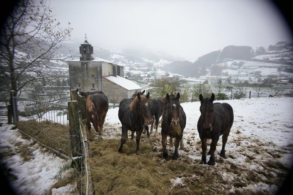 En Berastegi la nievefue la protagonistadel fin de semana.El domingo amaneciócubierto de blanco. 