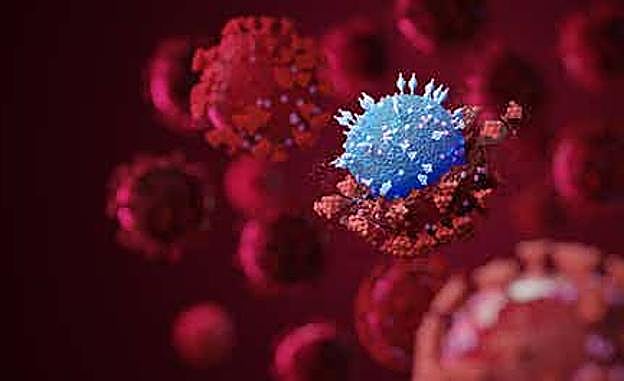 ¿Es realmente tan peligrosa la nueva variante ómicron?
