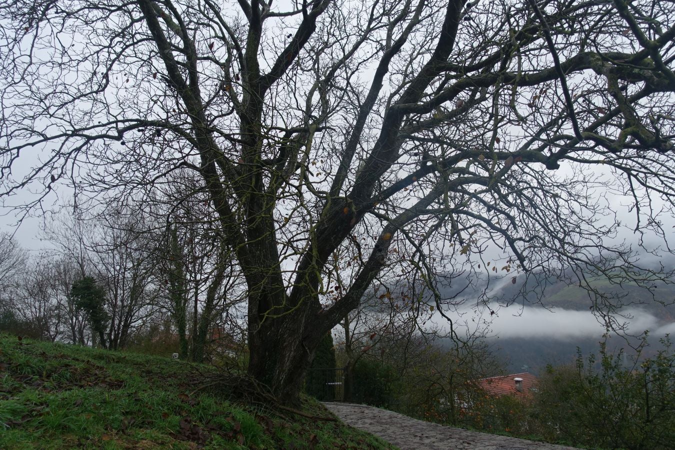 Fotos: Herniozabal, tras los pasos de Santa Cruz