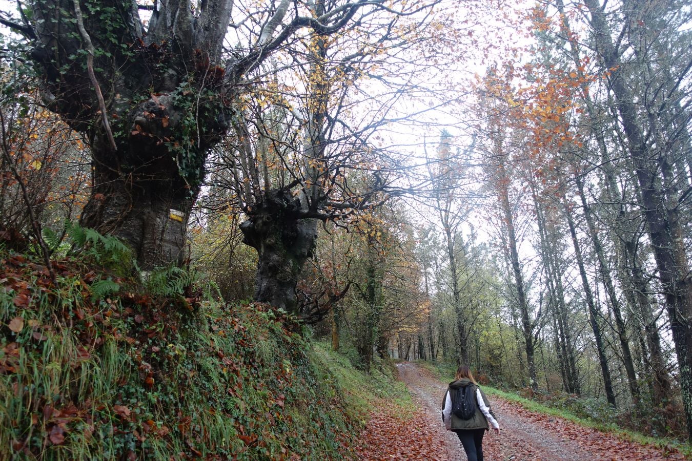 Fotos: Herniozabal, tras los pasos de Santa Cruz