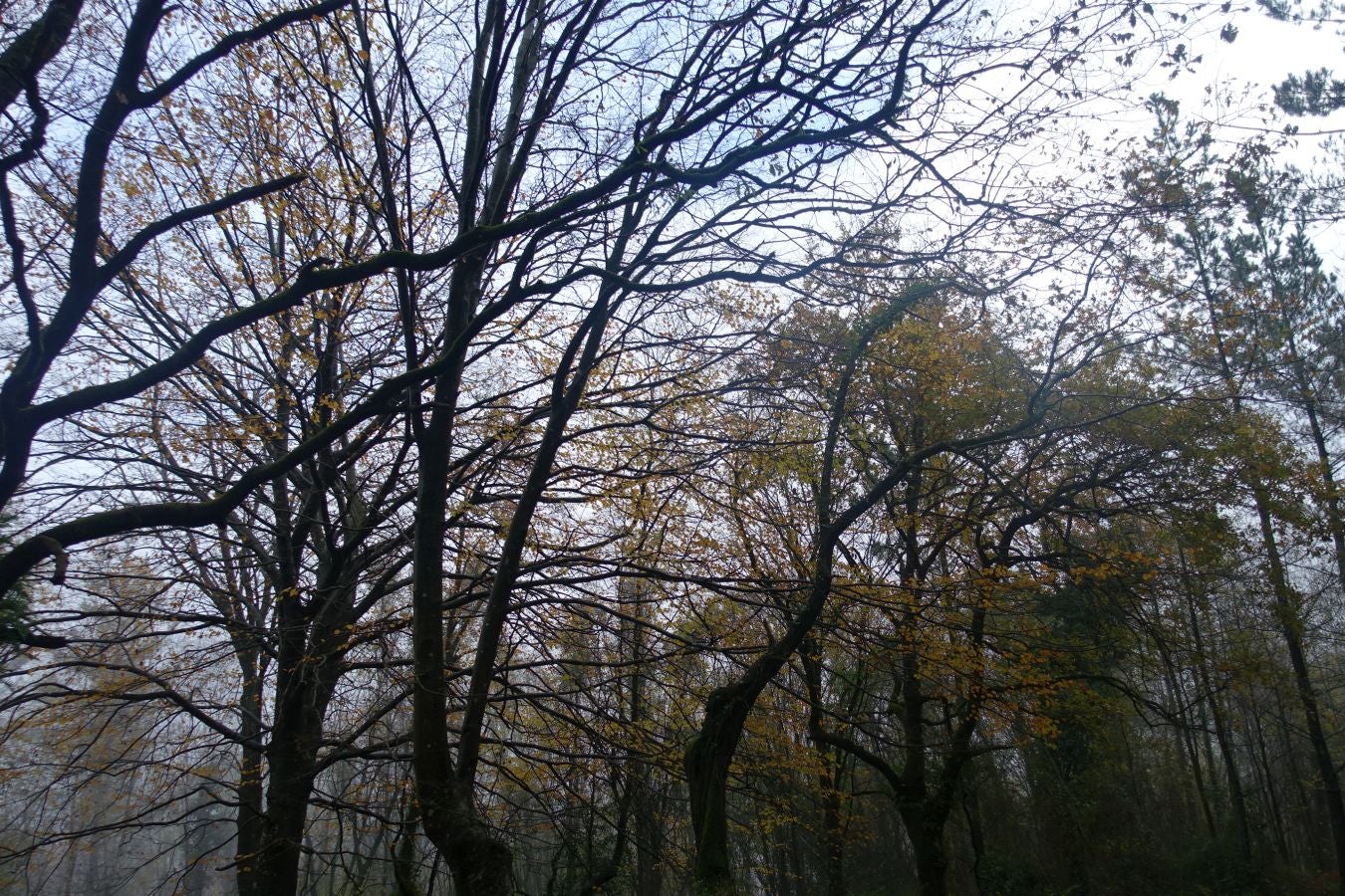 Fotos: Herniozabal, tras los pasos de Santa Cruz