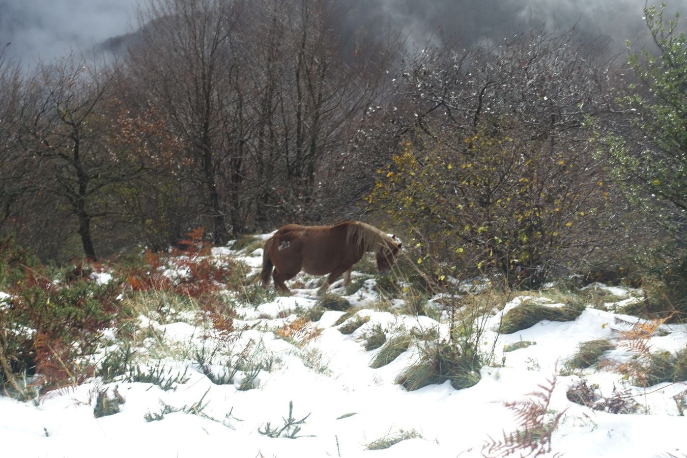 Fotos: Herniozabal, tras los pasos de Santa Cruz