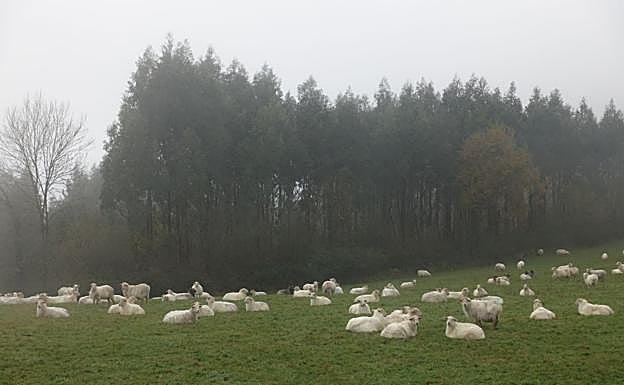 Galería. Las mejores imágenes del ascenso a Herniozabal.