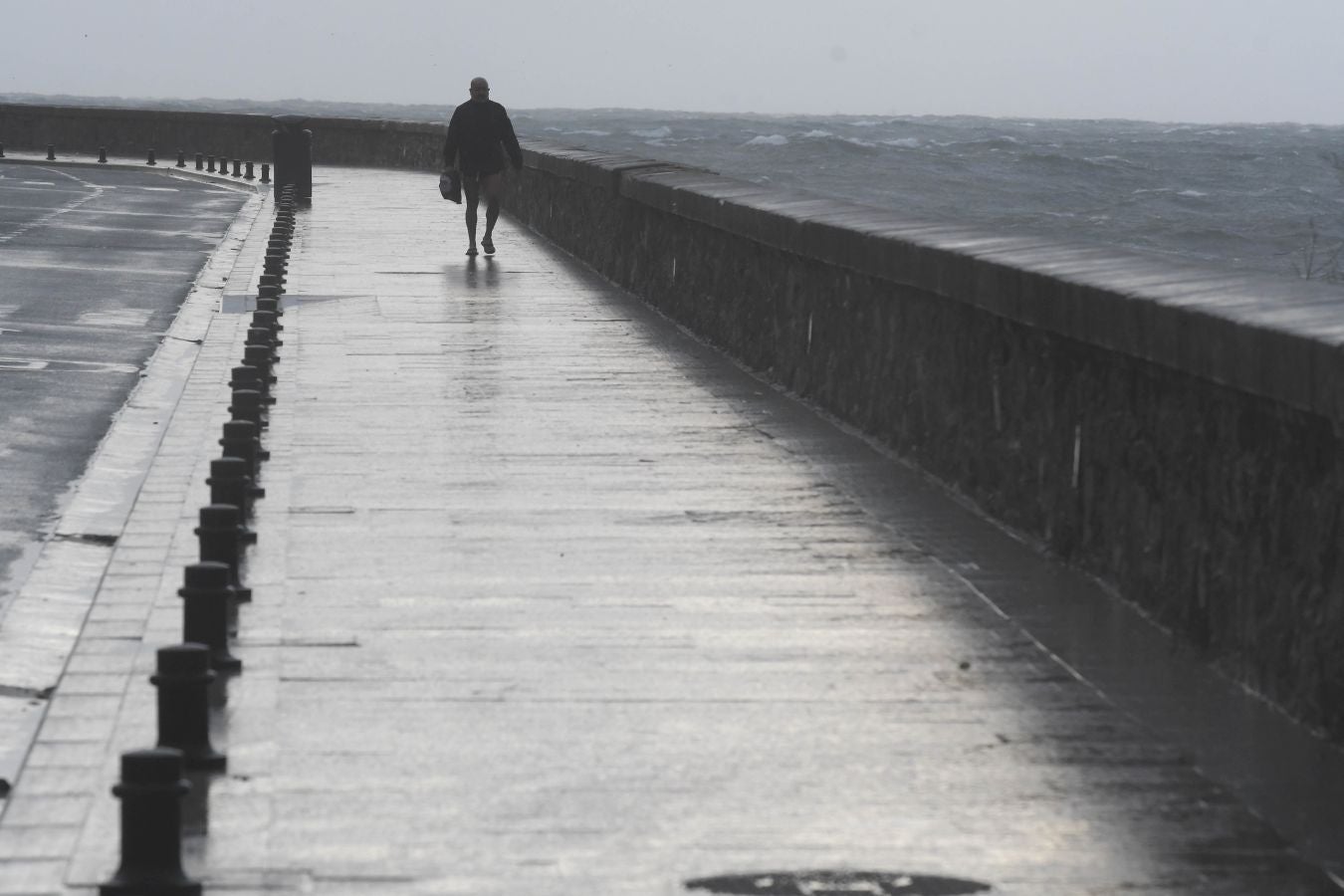Contenedores volcados, árboles caídos... el temporal se está dejando sentir con fuerza en el territorio en las últimas horas