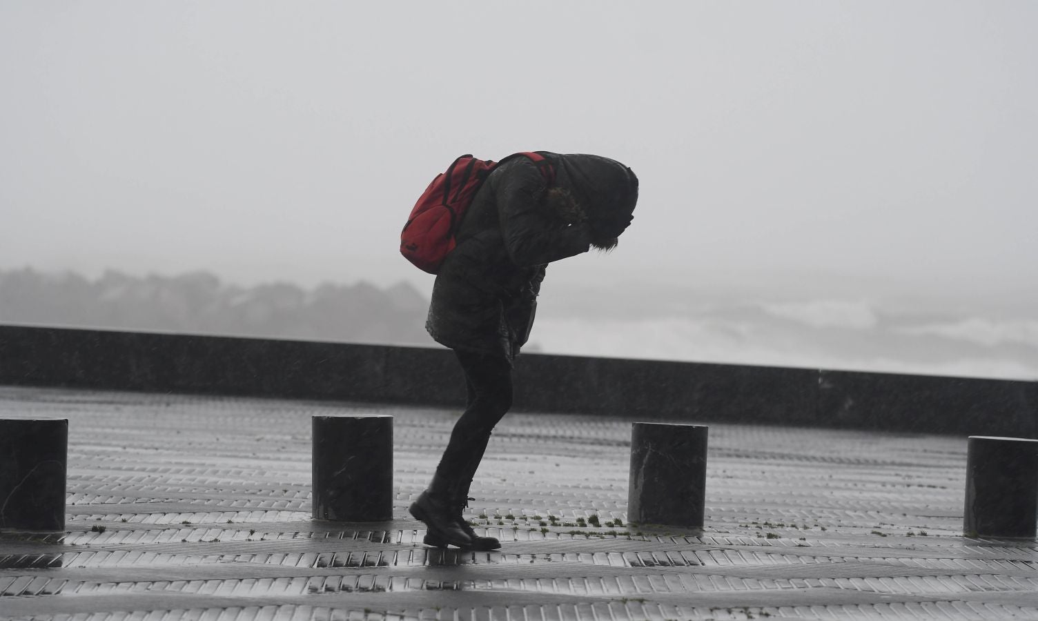 Contenedores volcados, árboles caídos... el temporal se está dejando sentir con fuerza en el territorio en las últimas horas