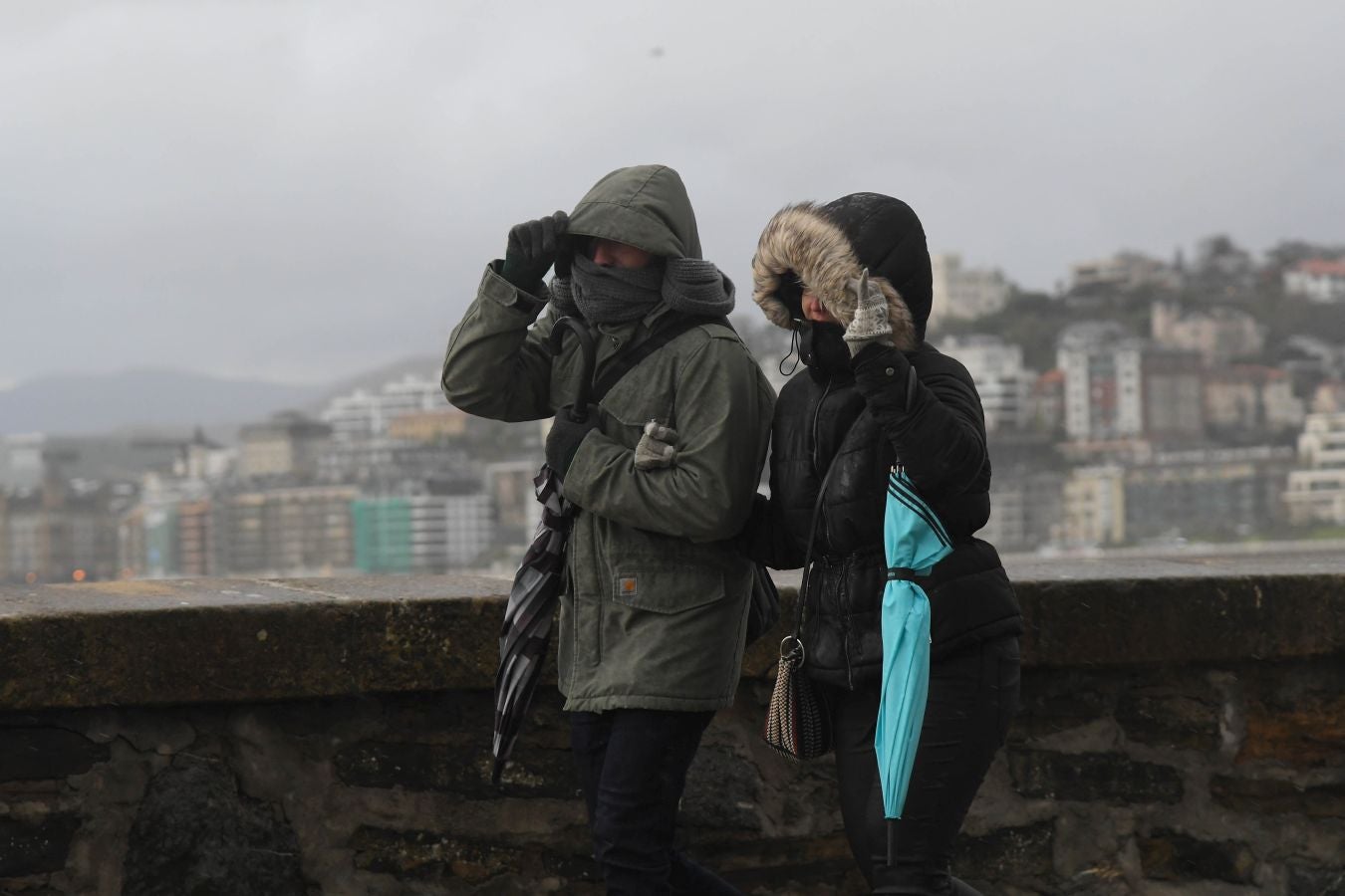 Contenedores volcados, árboles caídos... el temporal se está dejando sentir con fuerza en el territorio en las últimas horas