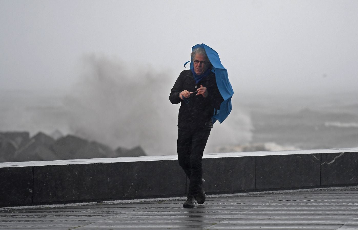 Contenedores volcados, árboles caídos... el temporal se está dejando sentir con fuerza en el territorio en las últimas horas