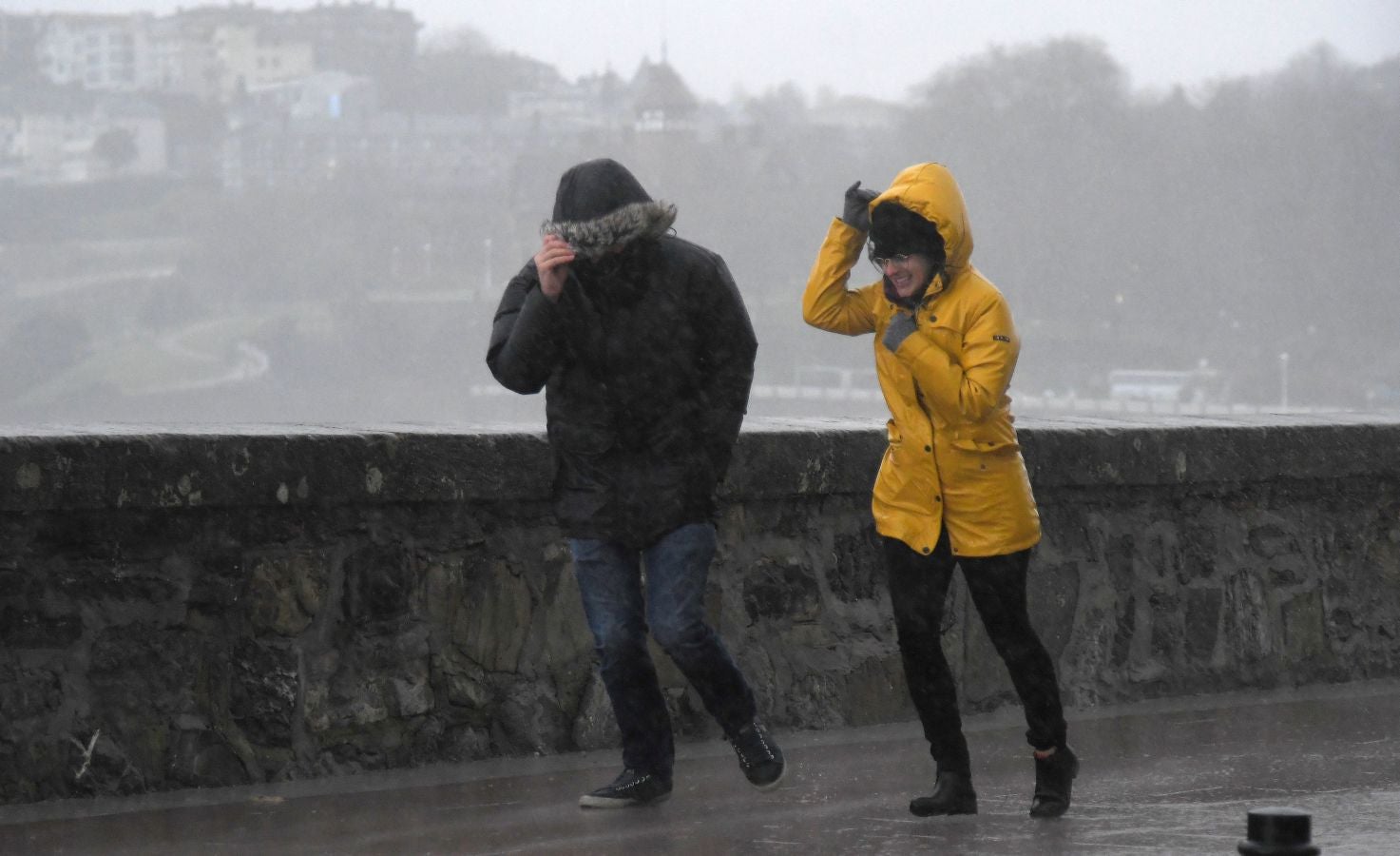 Contenedores volcados, árboles caídos... el temporal se está dejando sentir con fuerza en el territorio en las últimas horas