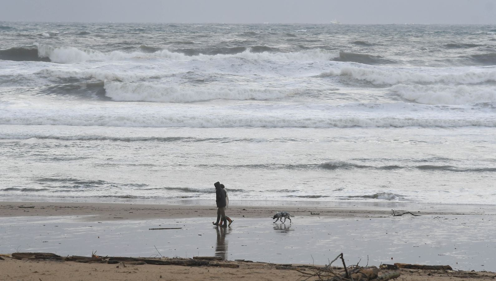 Contenedores volcados, árboles caídos... el temporal se está dejando sentir con fuerza en el territorio en las últimas horas