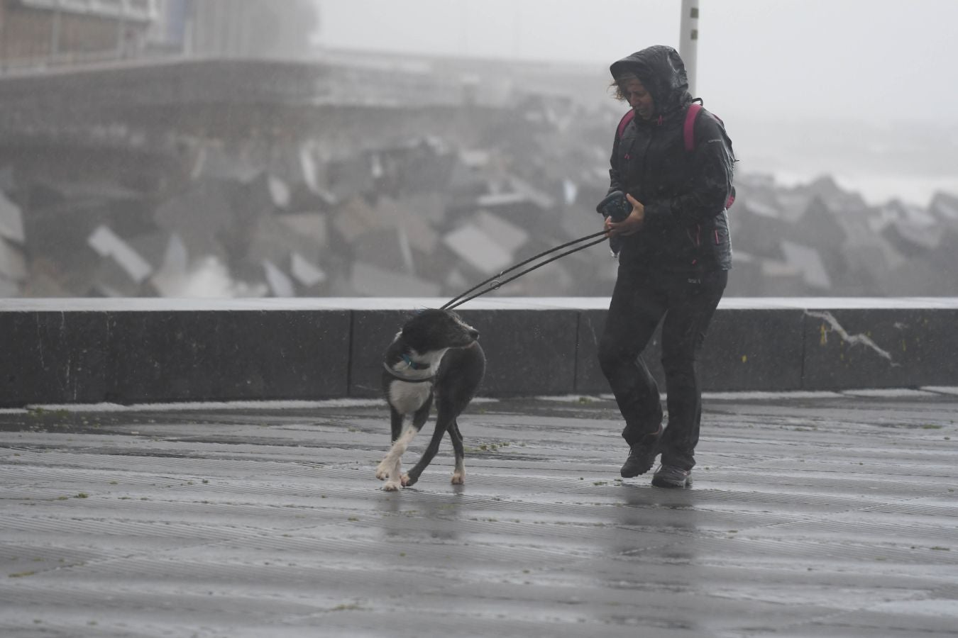 Contenedores volcados, árboles caídos... el temporal se está dejando sentir con fuerza en el territorio en las últimas horas