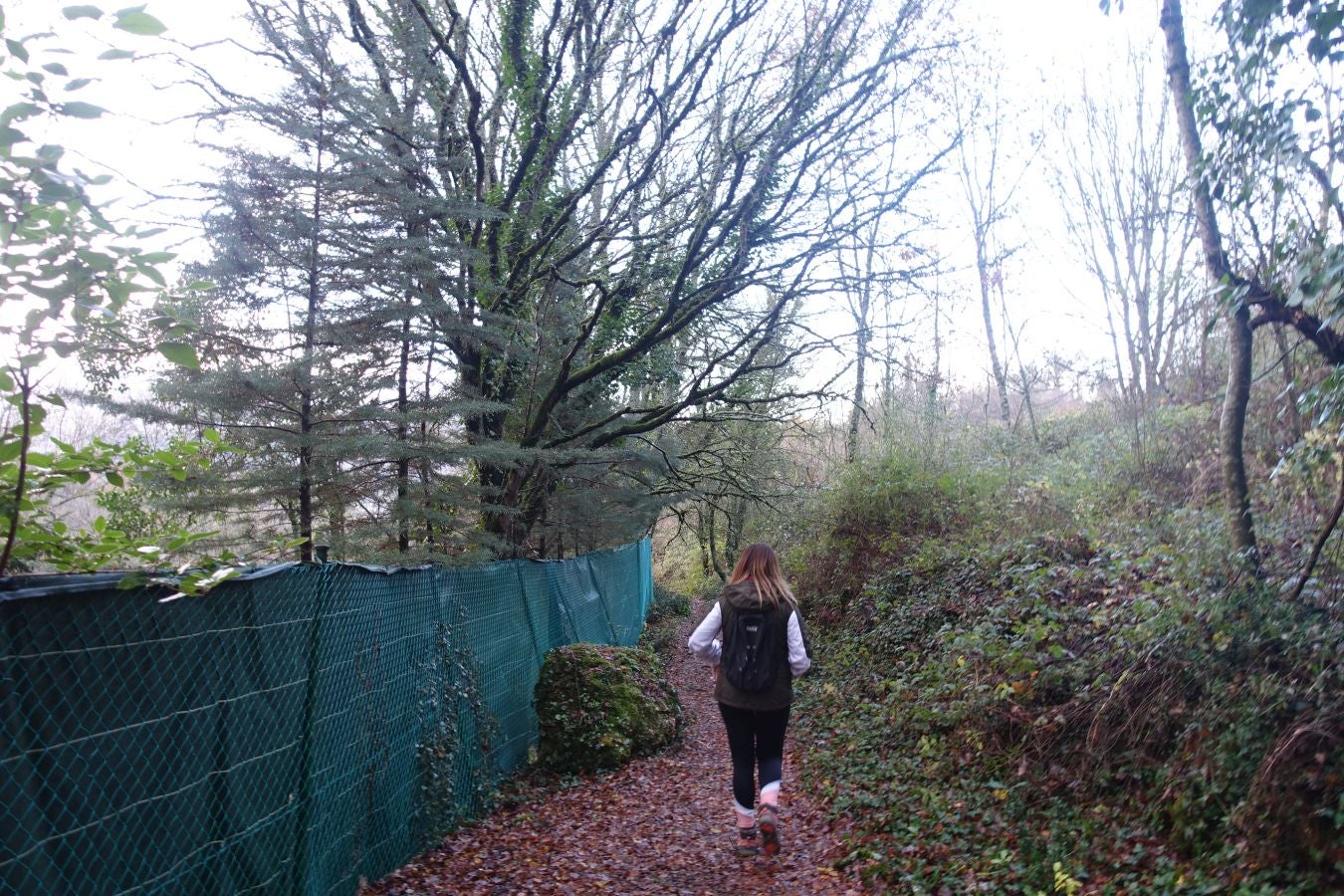 Fotos: Arteta, el poder del agua marca el ritmo
