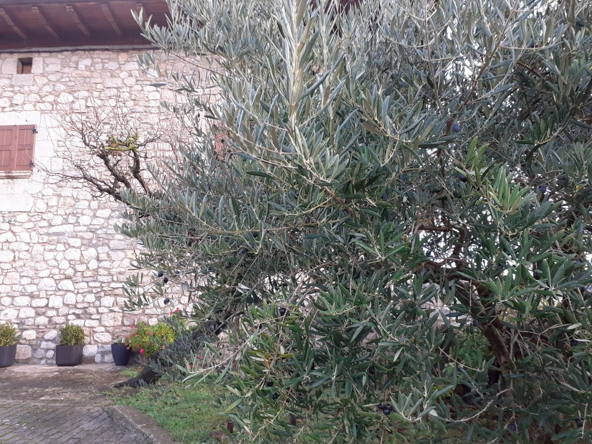 Fotos: Arteta, el poder del agua marca el ritmo