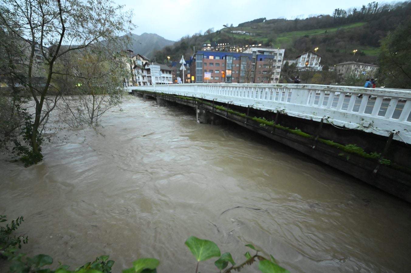 Fotos: Inundaciones por la crecida del Oria en Tolosa