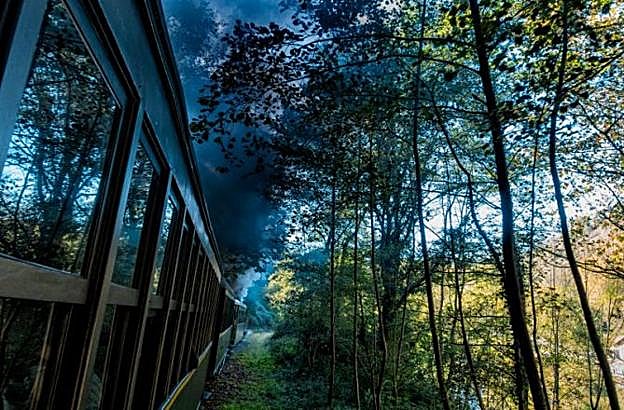 Segundo premio: El tren del Urola.
