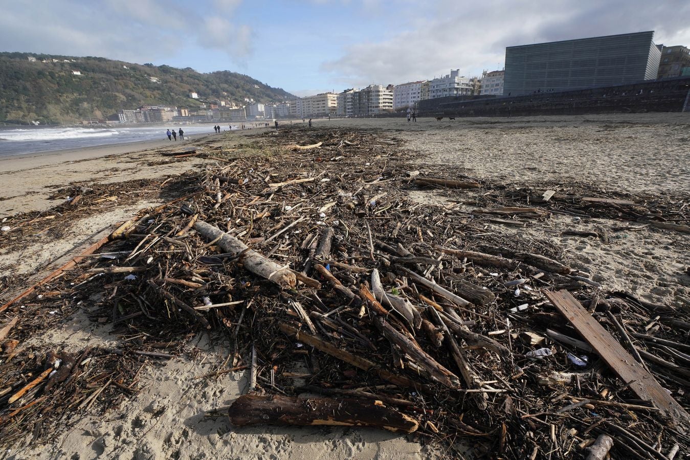 El arenal de la Zurriola se ha cubierto de troncos tras el paso de la borrasca 'Barra'.