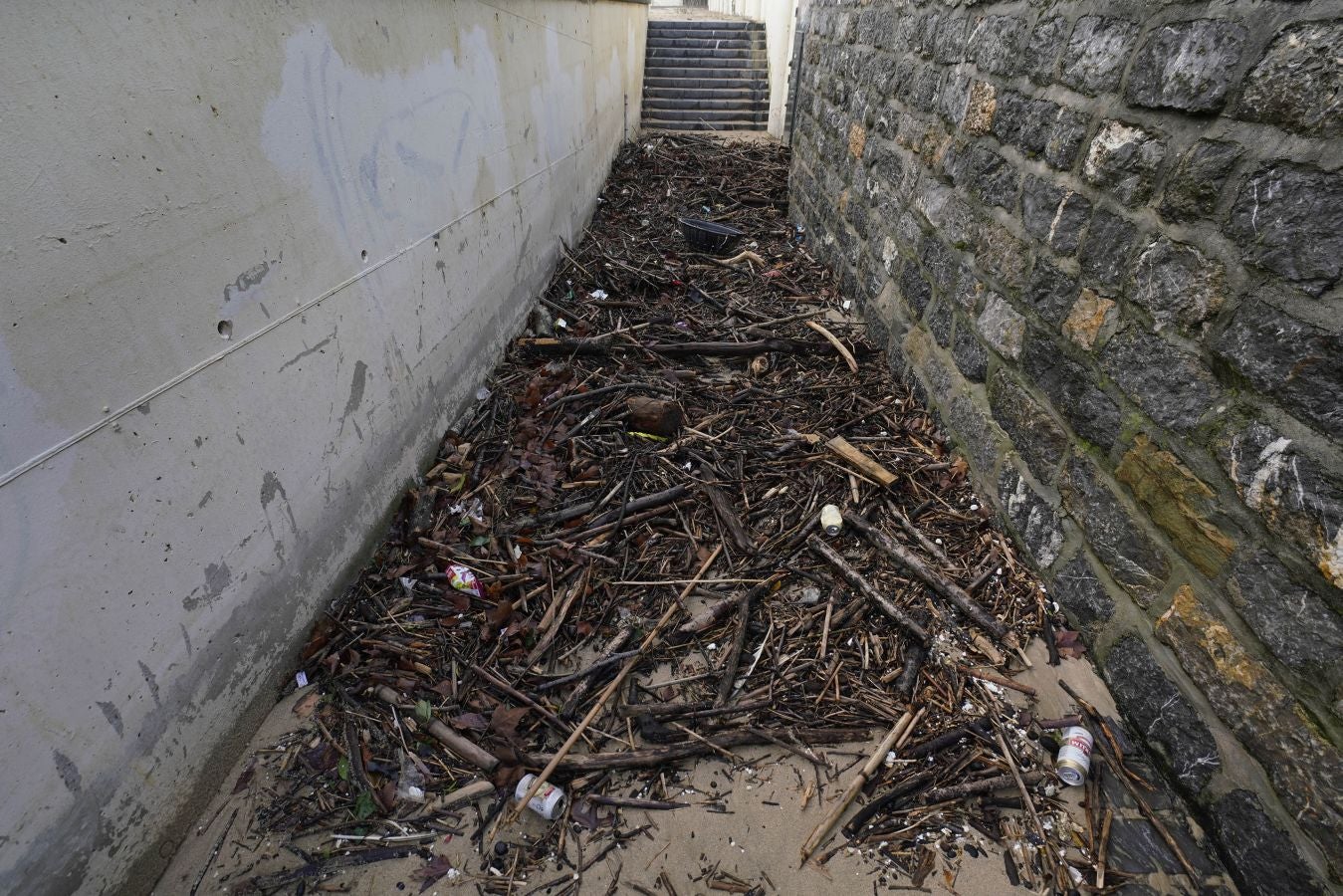 El arenal de la Zurriola se ha cubierto de troncos tras el paso de la borrasca 'Barra'.
