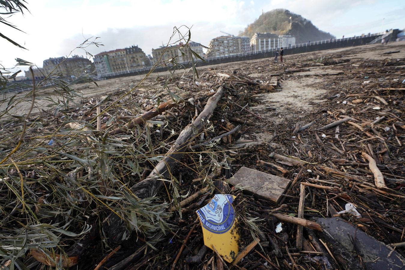 El arenal de la Zurriola se ha cubierto de troncos tras el paso de la borrasca 'Barra'.