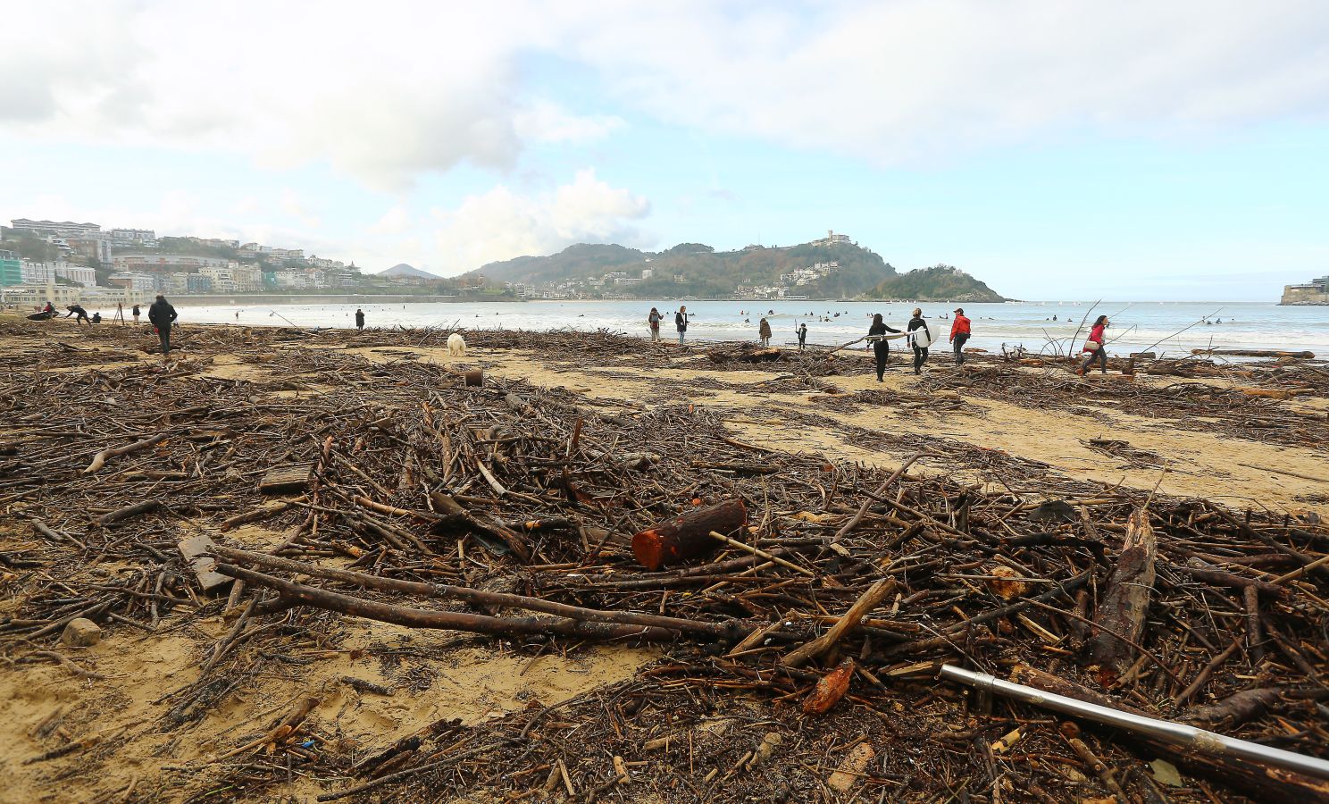 Surfeando ramas en La Concha.