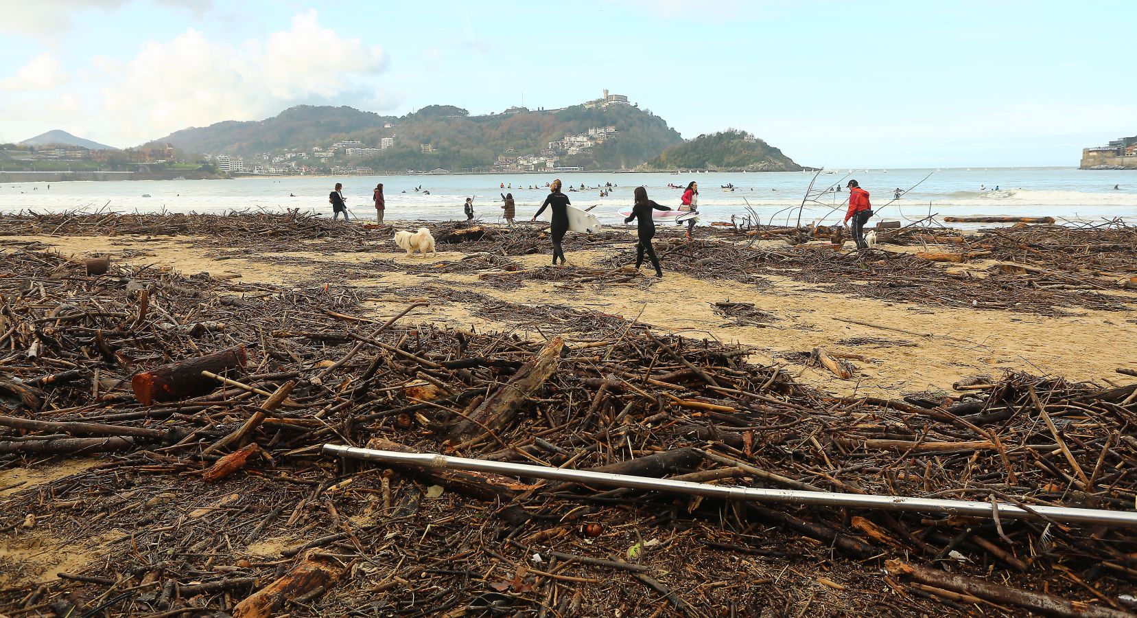 Surfeando ramas en La Concha.