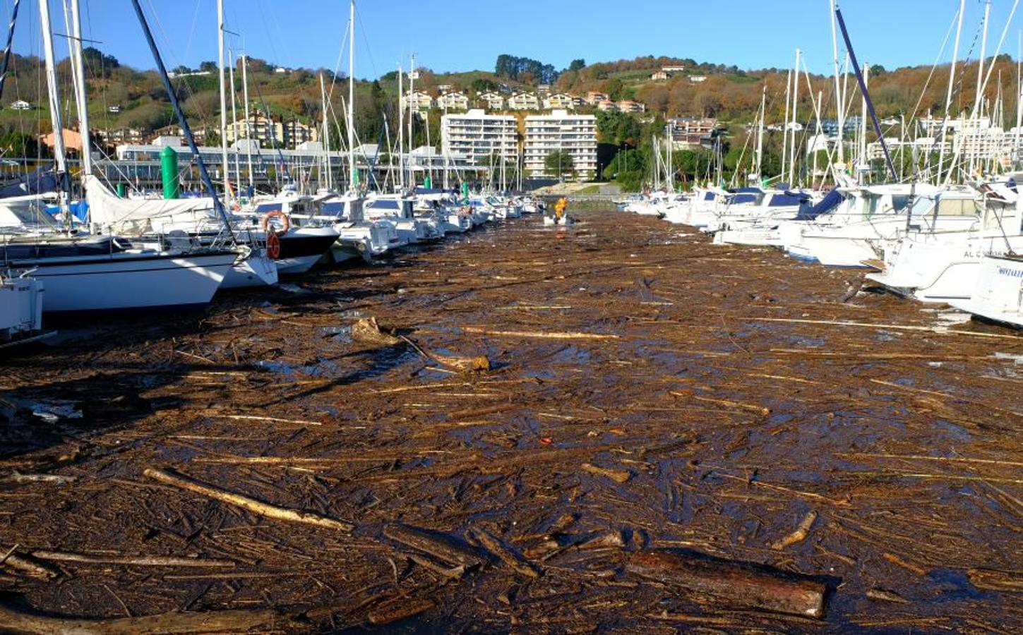 Fotos: Suciedad en las playas, tras el temporal