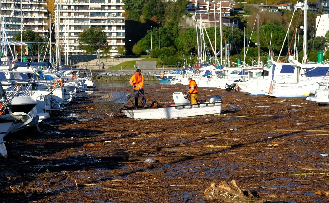 El puerto de Hondarribia ayer, repleto de restos del temporal. 