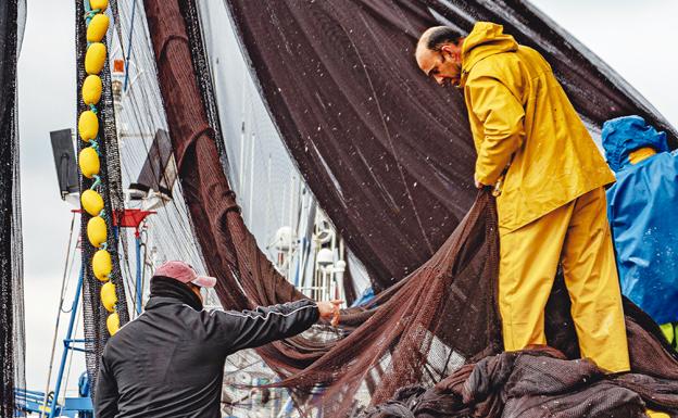 Comienza la segunda tanda del concurso ¿sabes de pesca de bajura? Participa y gana un bono de 100€ para consumirlo en pescaderías de supermercados BM