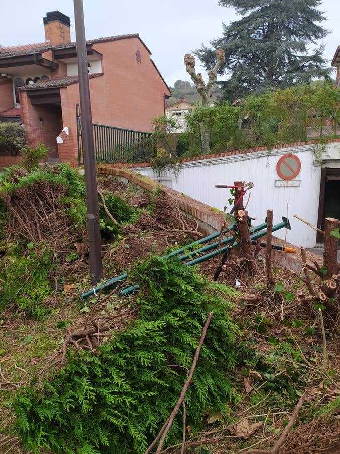 Fotos: Viveros Ducasse