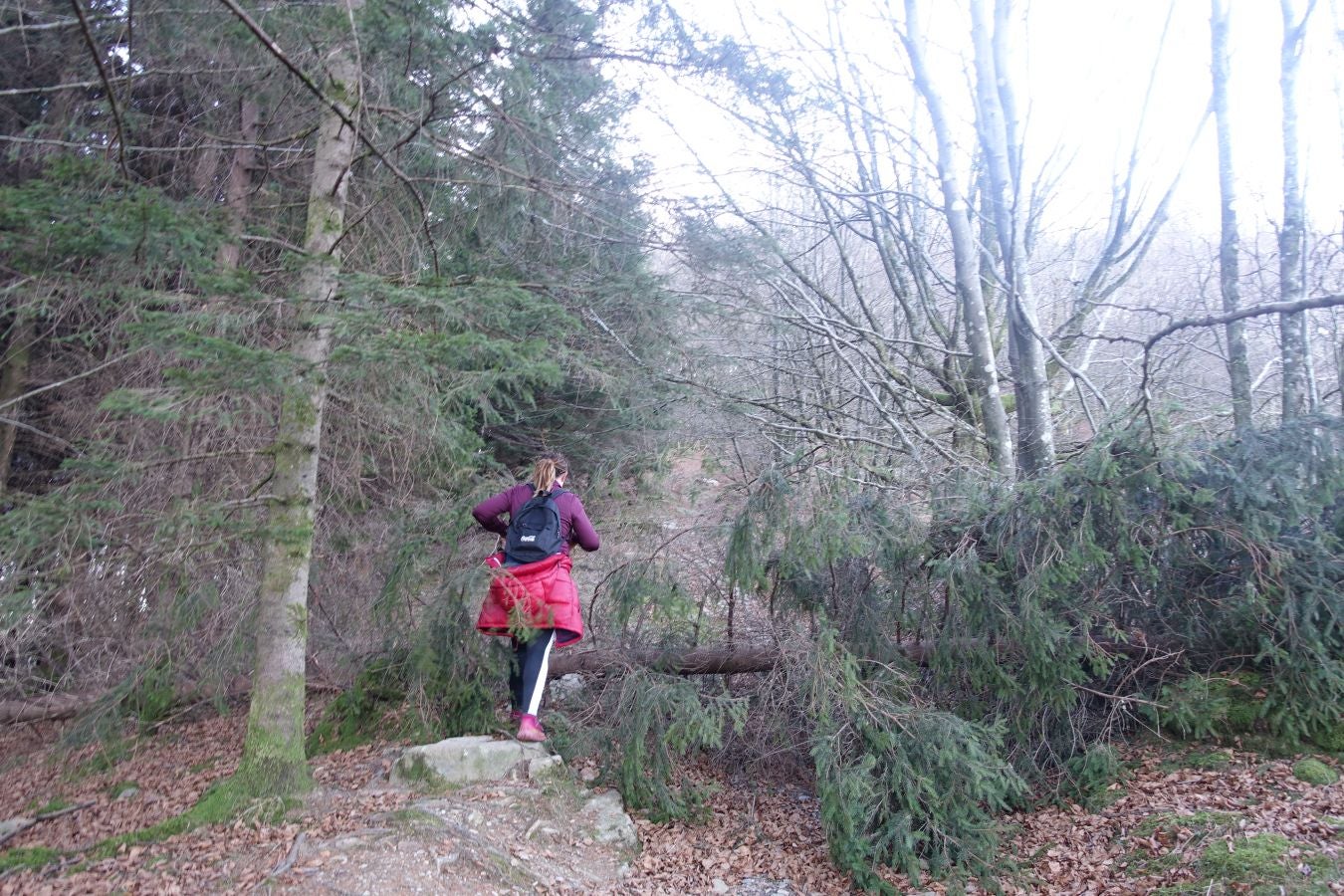 Fotos: Ipuliño, con la vista perdida en el cielo