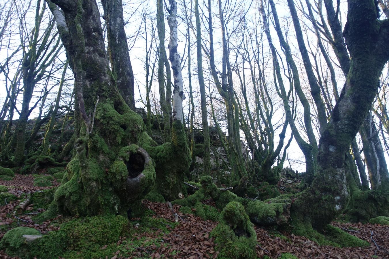 Fotos: Ipuliño, con la vista perdida en el cielo