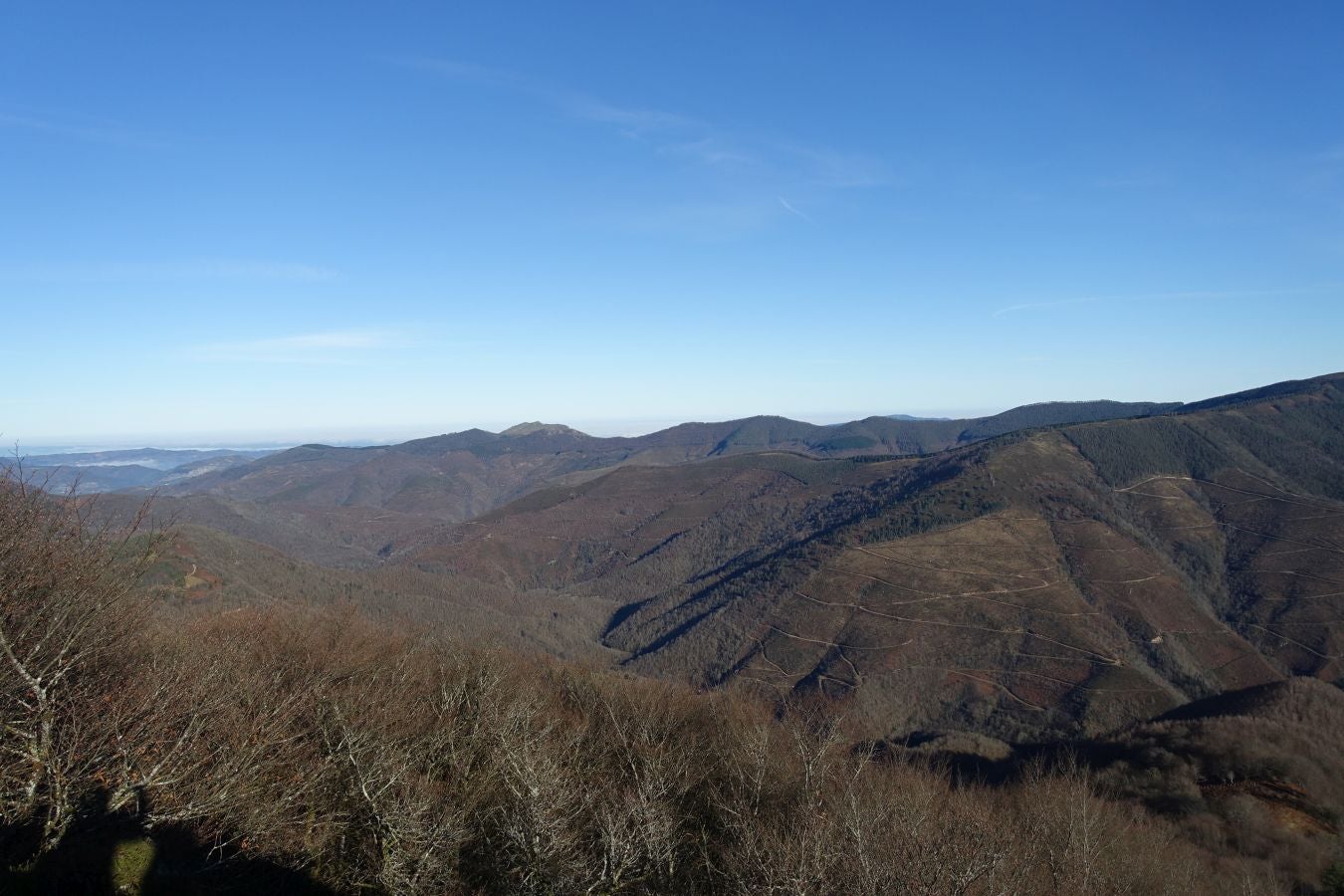Fotos: Ipuliño, con la vista perdida en el cielo
