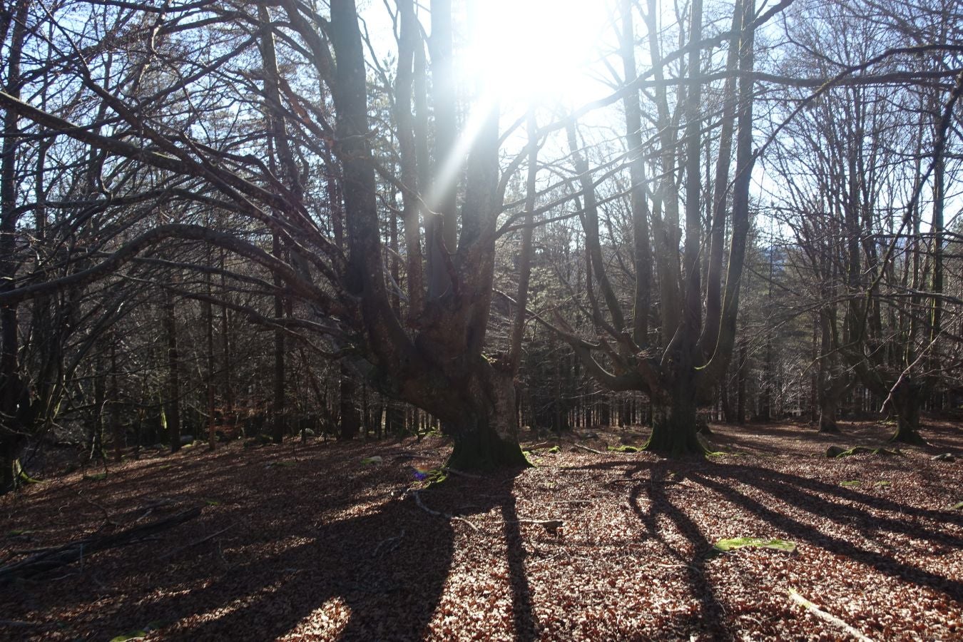 Fotos: Ipuliño, con la vista perdida en el cielo