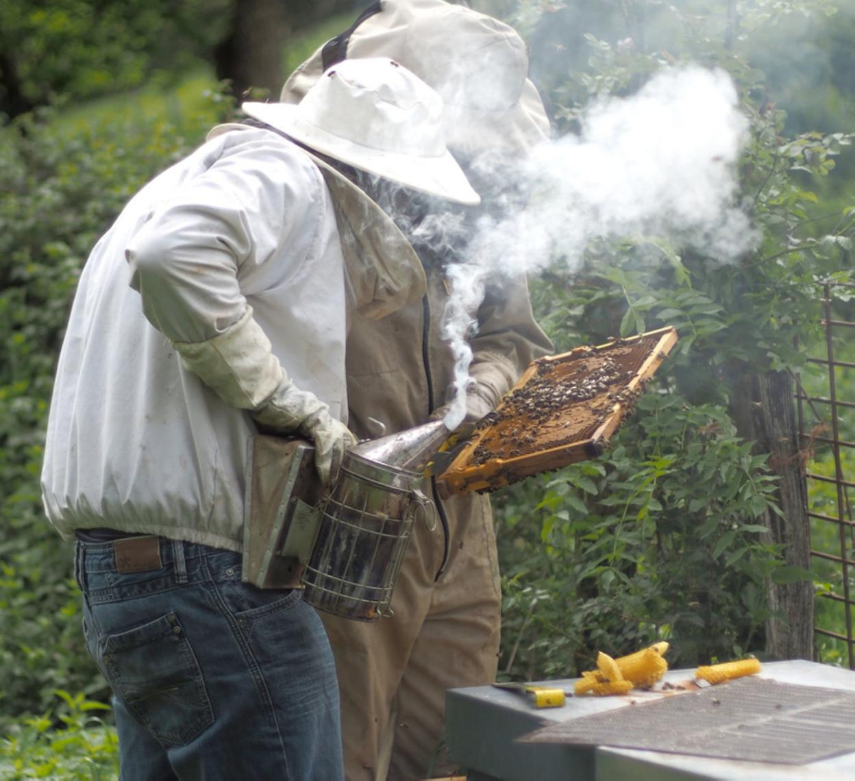 Mattin eta Inaxio, kaxak gainbegiratzen. 