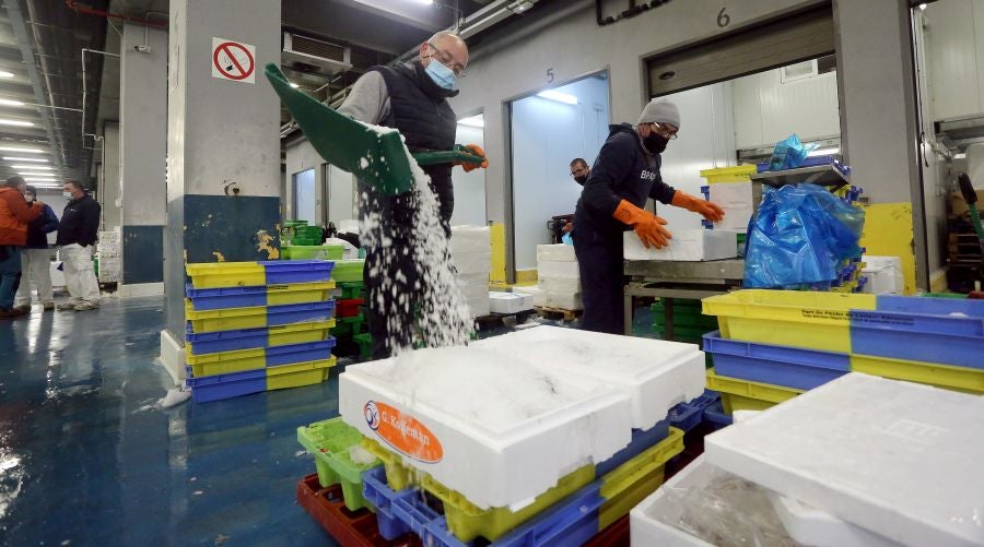 Fotos: Las dudas llegan a la lonja de pescado