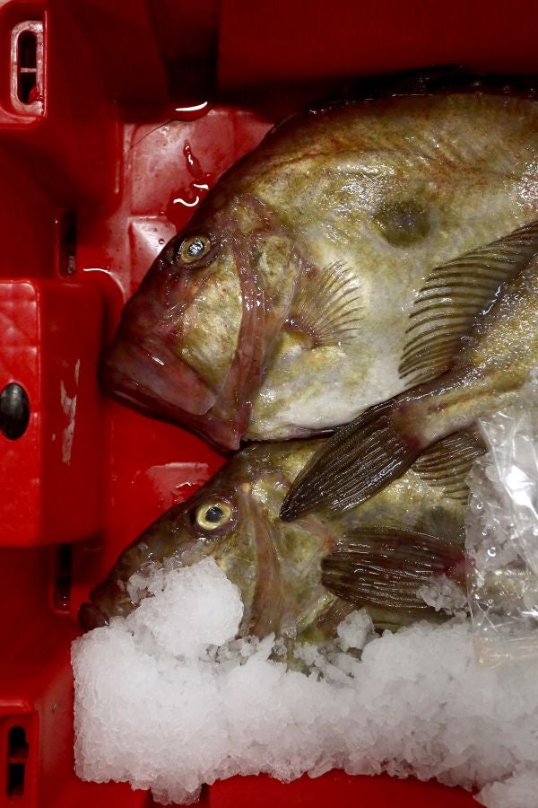 Fotos: Las dudas llegan a la lonja de pescado