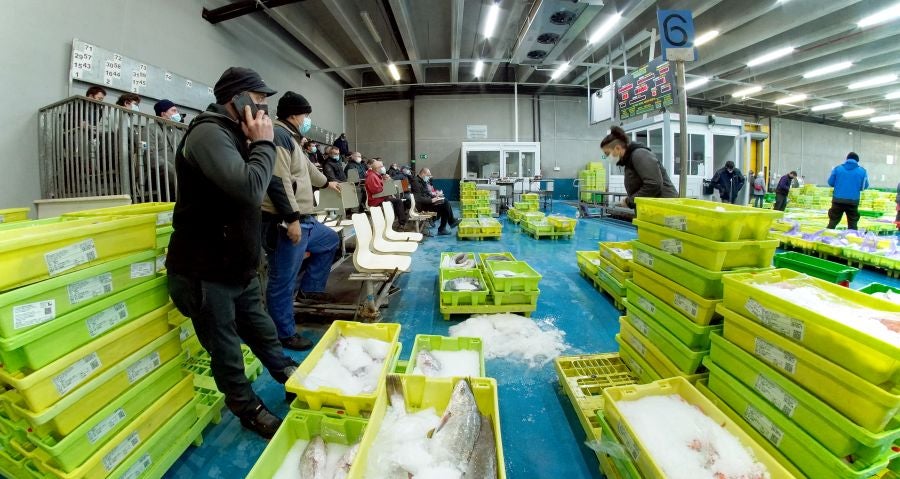 Fotos: Las dudas llegan a la lonja de pescado