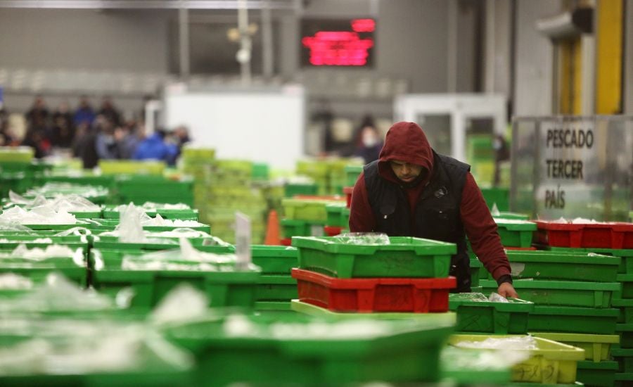 Fotos: Las dudas llegan a la lonja de pescado
