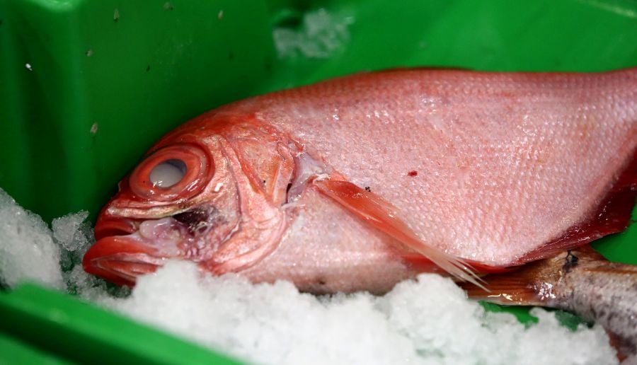 Fotos: Las dudas llegan a la lonja de pescado