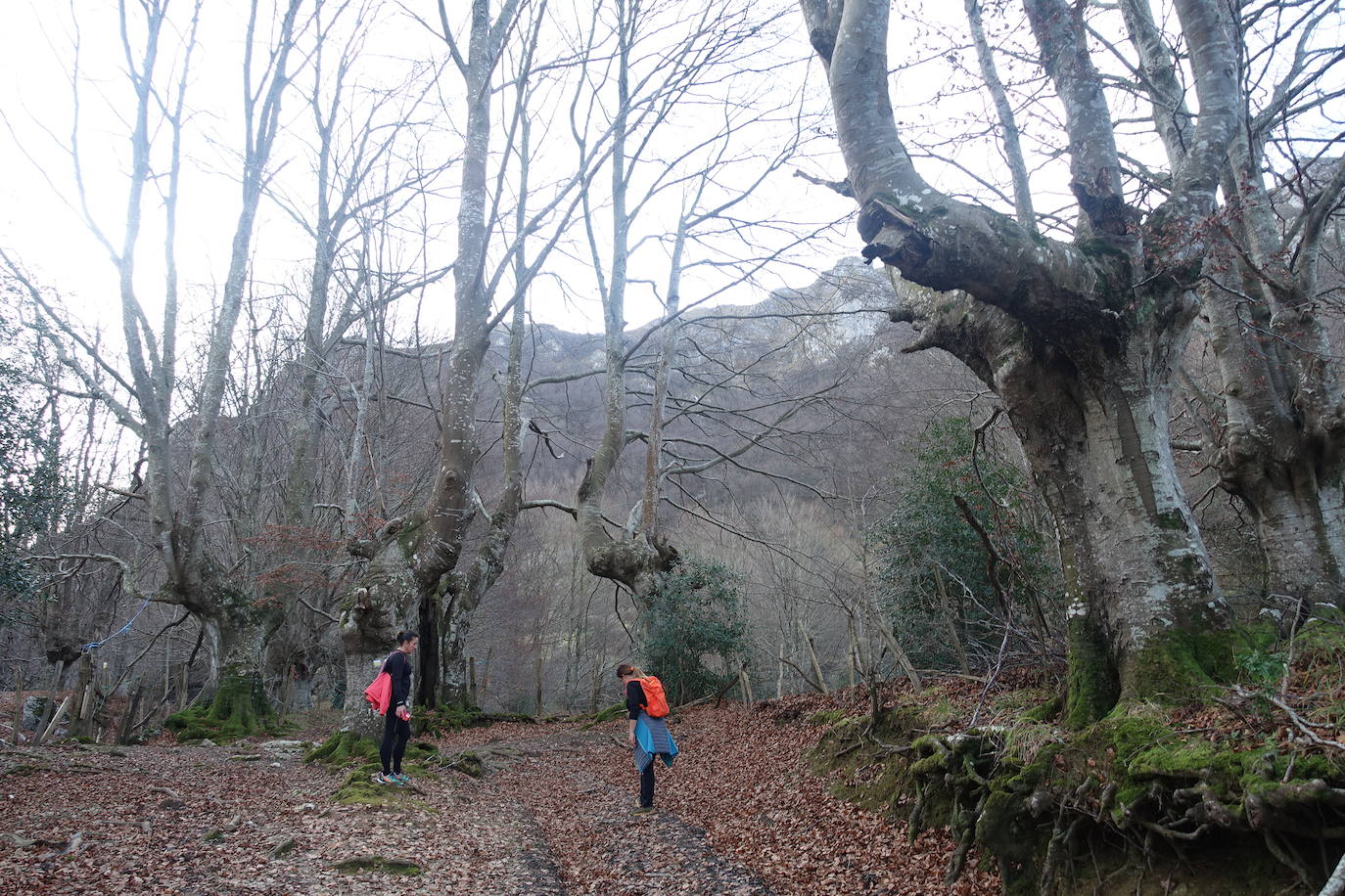 Fotos: Balerdi. El cobijo invernal de Hegoi