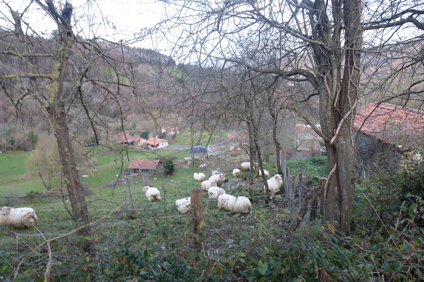 Fotos: Balerdi. El cobijo invernal de Hegoi