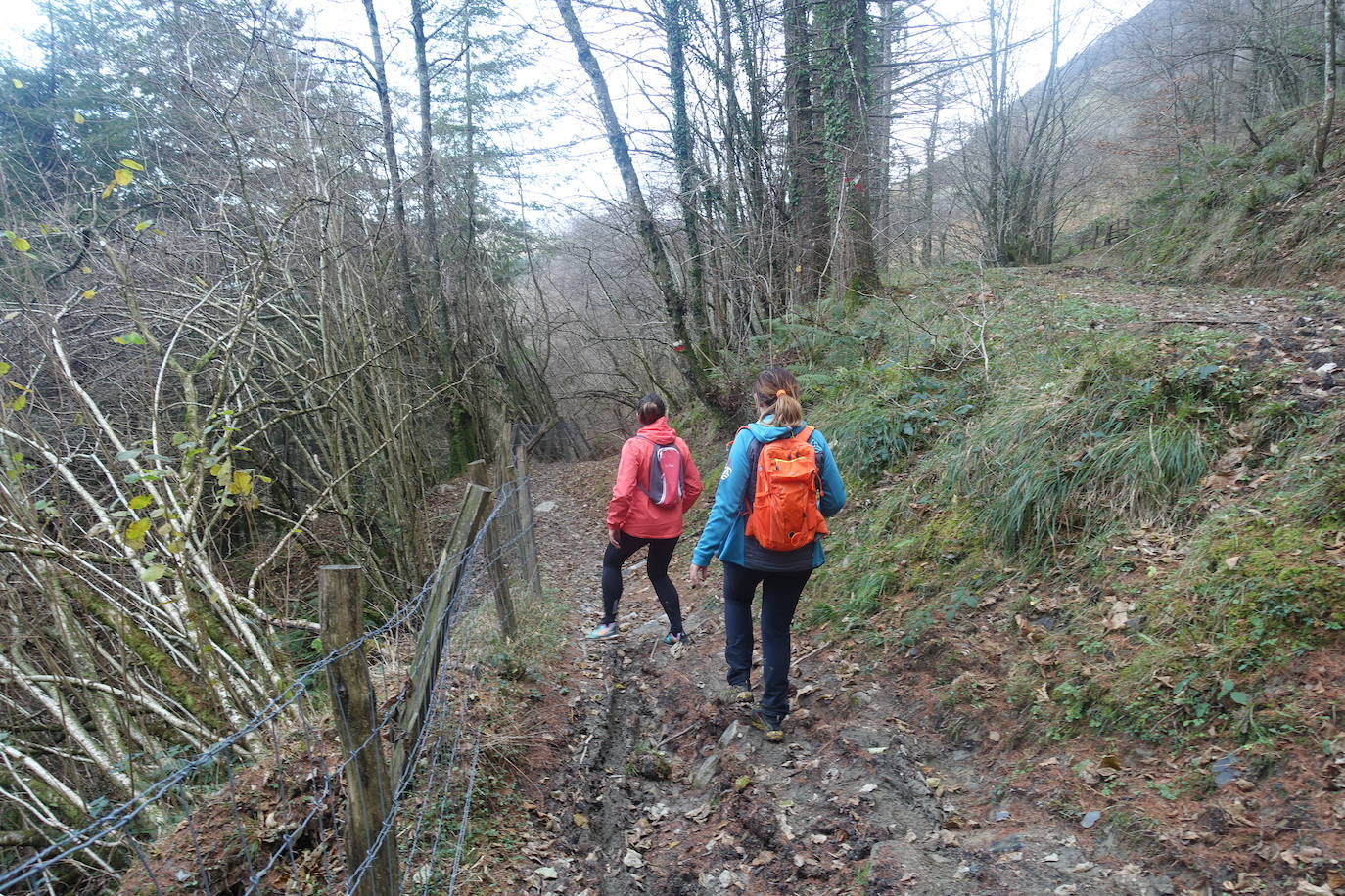 Fotos: Balerdi. El cobijo invernal de Hegoi