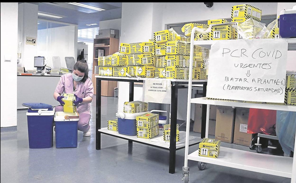 Un infectado por ómicron puede pasar el virus a otras diez personas