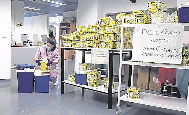 Un infectado por ómicron puede pasar el virus a otras diez personas