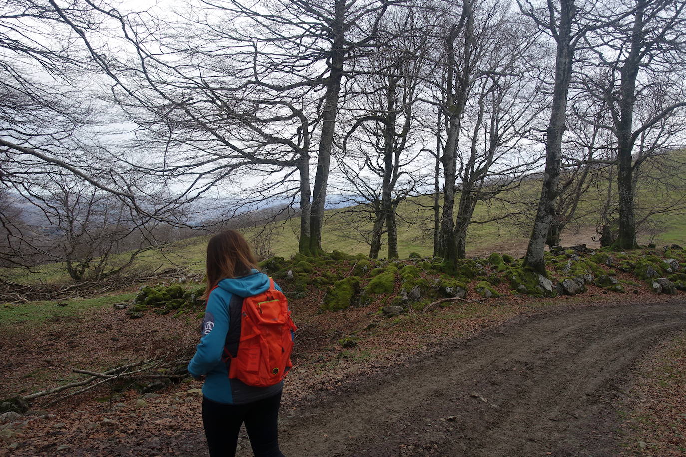Fotos: Ireber. Paseo entre bosques mágicos