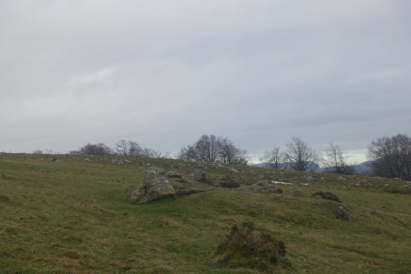 Fotos: Ireber. Paseo entre bosques mágicos
