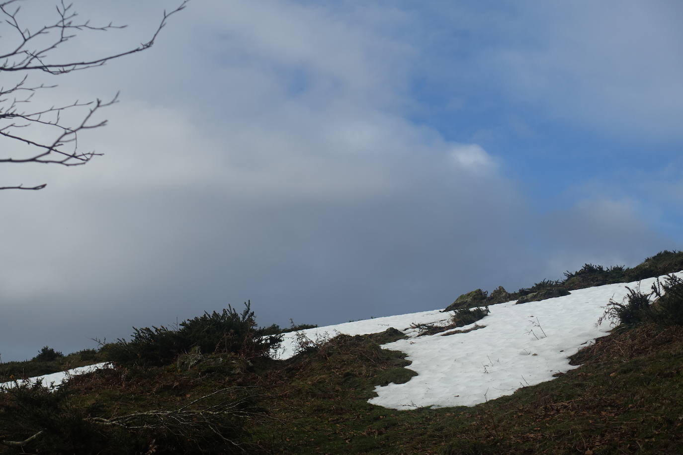 Fotos: Ireber. Paseo entre bosques mágicos