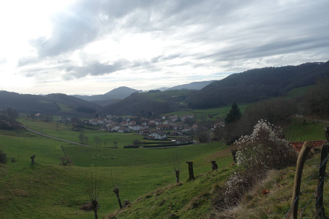 Fotos: Ireber. Paseo entre bosques mágicos