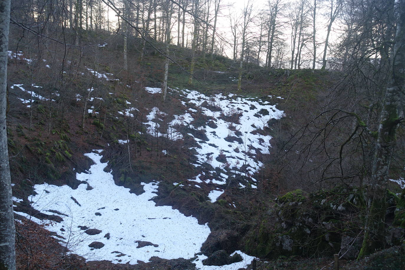 Fotos: Ireber. Paseo entre bosques mágicos