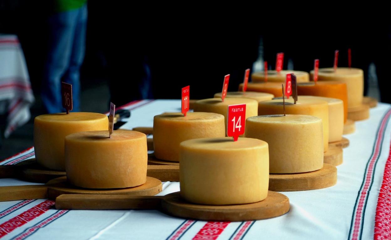 Los quesos volverán a ser protagonistas del concurso organizado por Kalamua Elkartea y el Ayuntamiento de Elgoibar. 